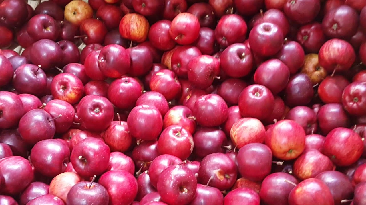 Manang Apple 1 kg City Cakes Online Cake Store in Kathmandu, Nepal